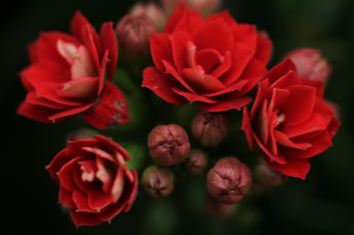 A few red..