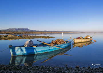Yumurtalık Lagünü