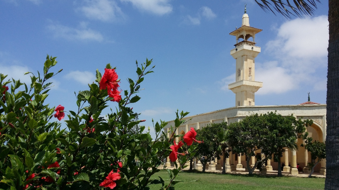 Egypt  - North coast  