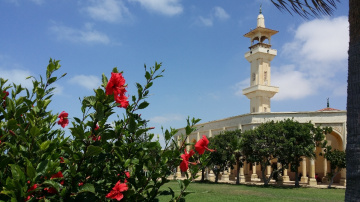 Egypt  - North coast  