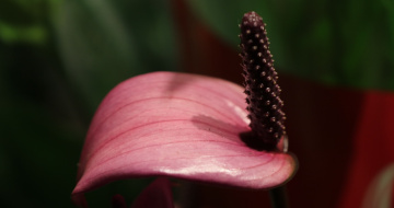One