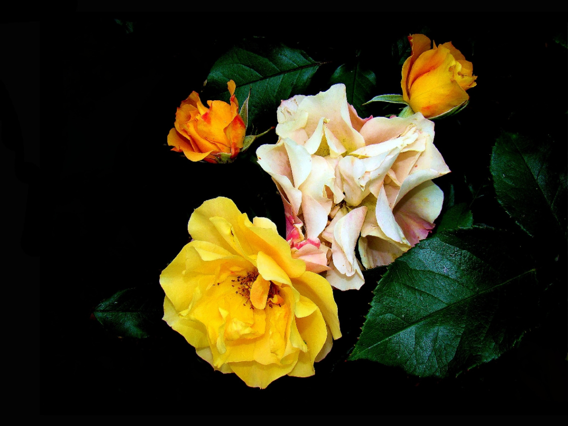 BLÜTEN