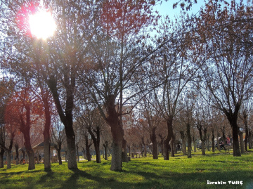 15 Temmuz Demokrasi Parkı SİİRT / KURTALAN