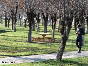 15 Temmuz Demokrasi Parkı SİİRT / KURTALAN