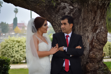 Wedding Photography