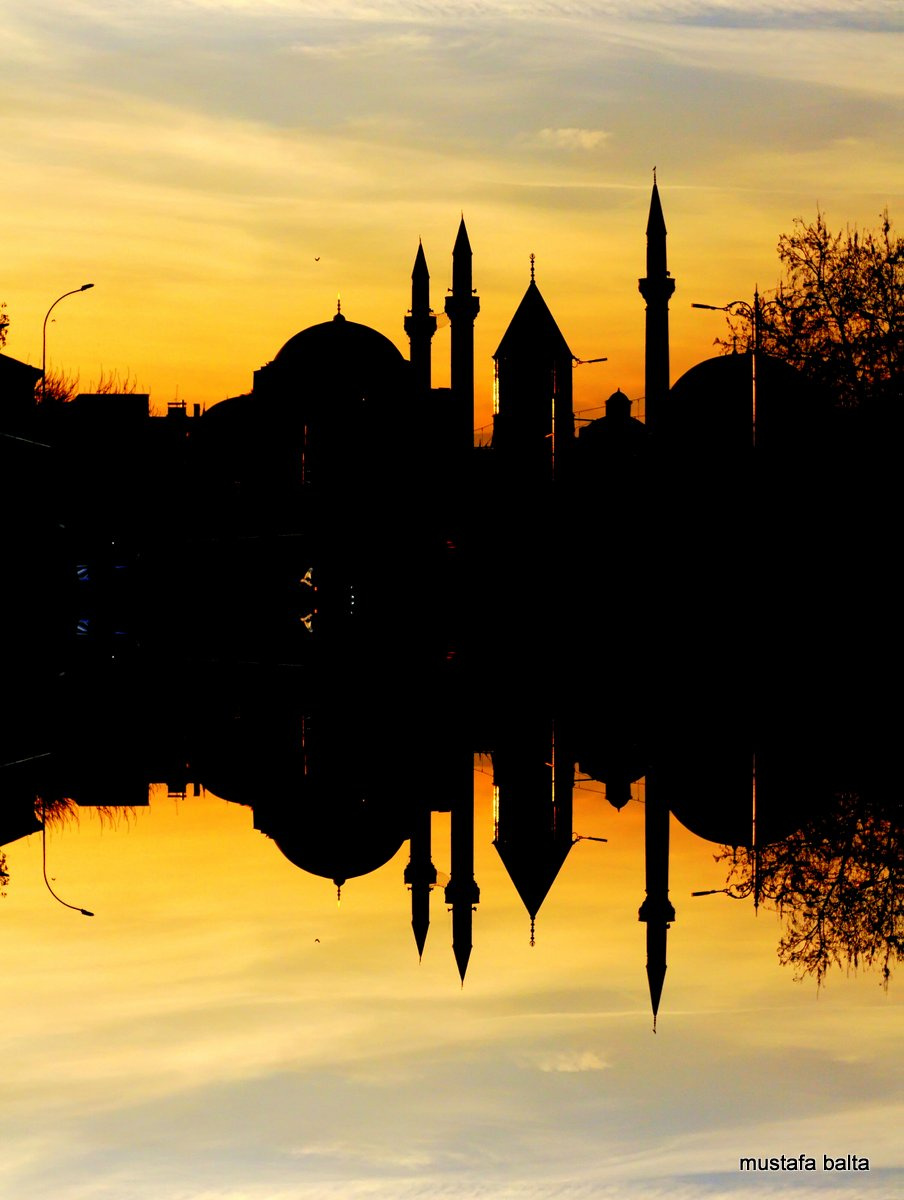 Miniciks Hayatlar  MEVLANA SİLÜET 