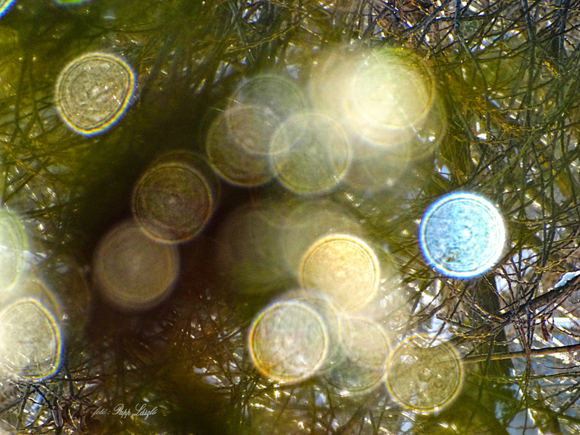 lens stains