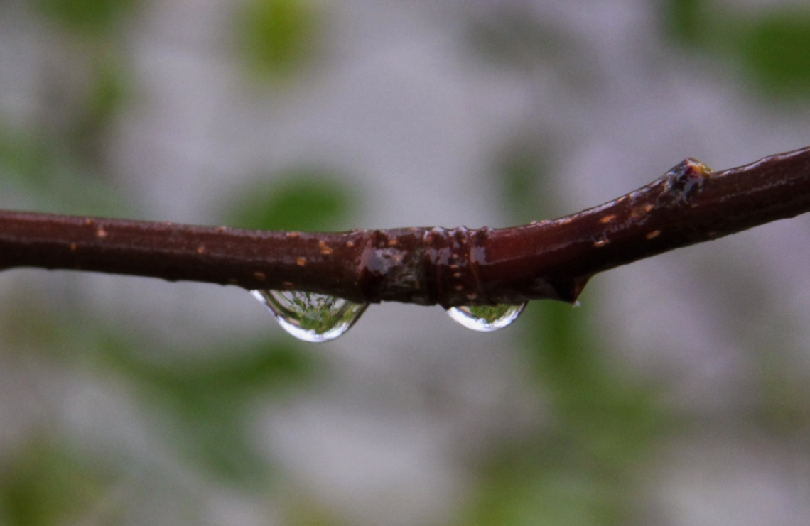 Water...