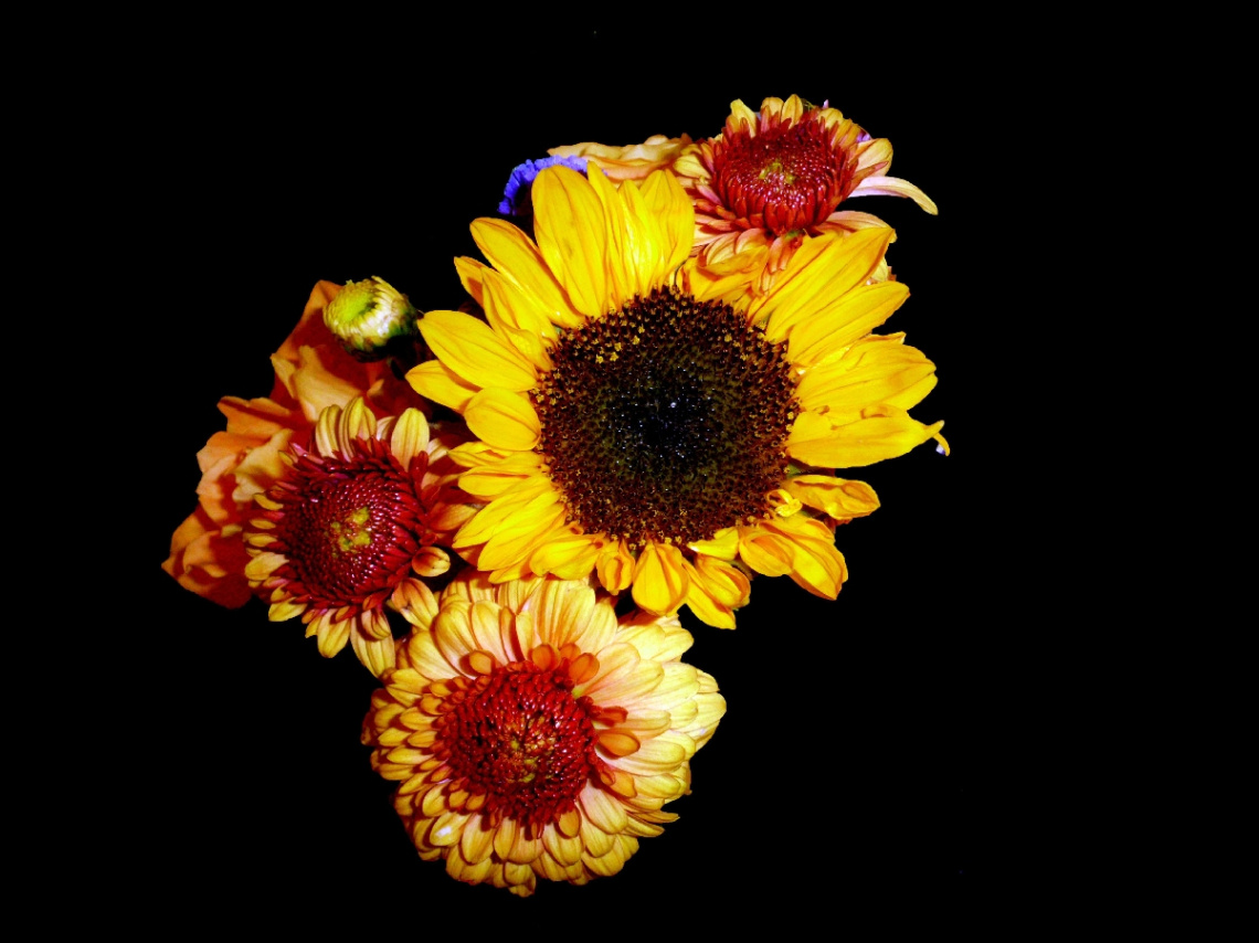 BLÜTEN