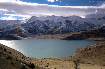 Manzara