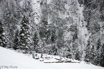 GİDENLER GERİ GELMİYOR