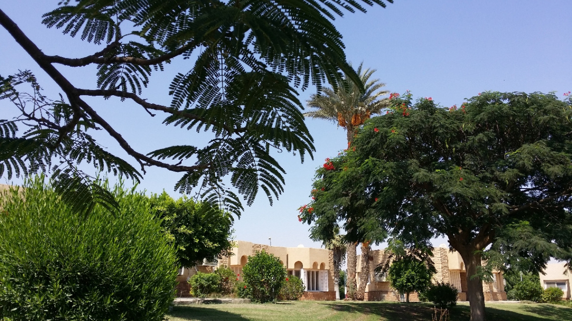 Egypt  - Ismaillia