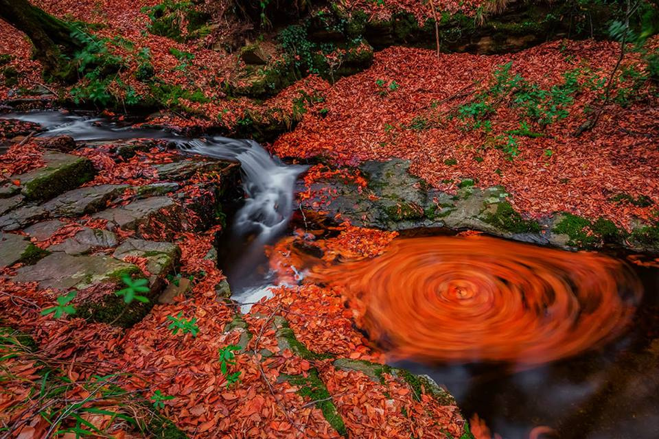 Yaprak Döndürmece 2