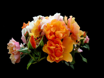 BLÜTEN