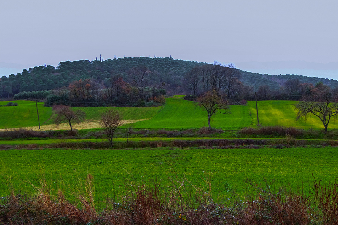 Yarı Kış Yarı Bahar