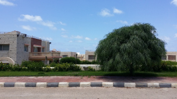 Egypt  - North coast  