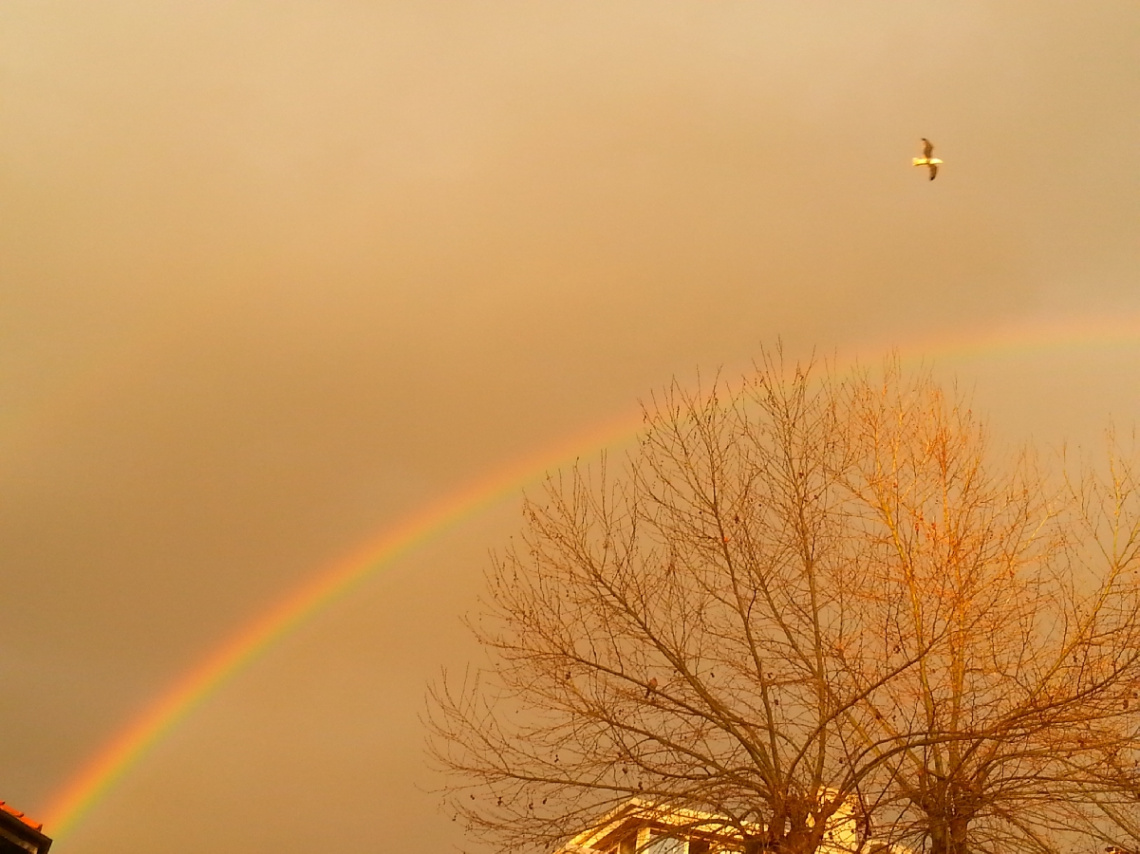 Hayattan rengi alın, geriye ne kalır ki!