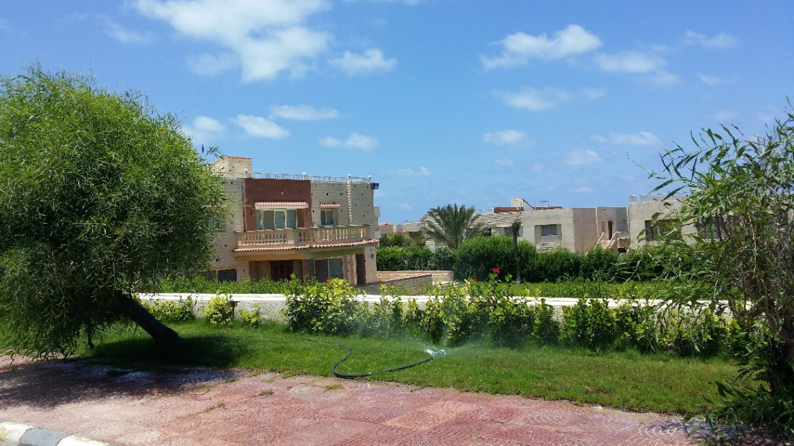 Egypt  - North coast  