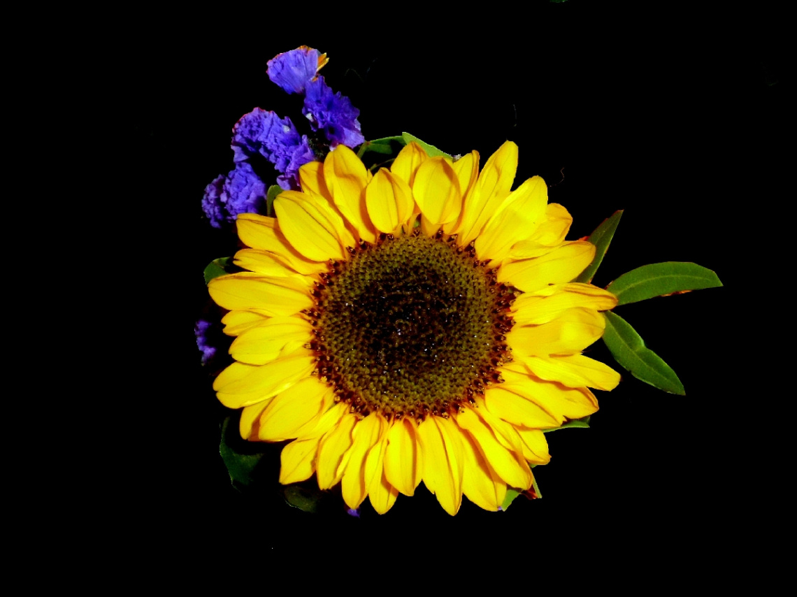 BLÜTEN
