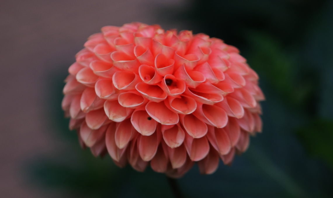 Orange.....