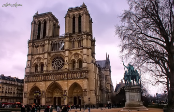 Notre Dame Katedrali / Paris