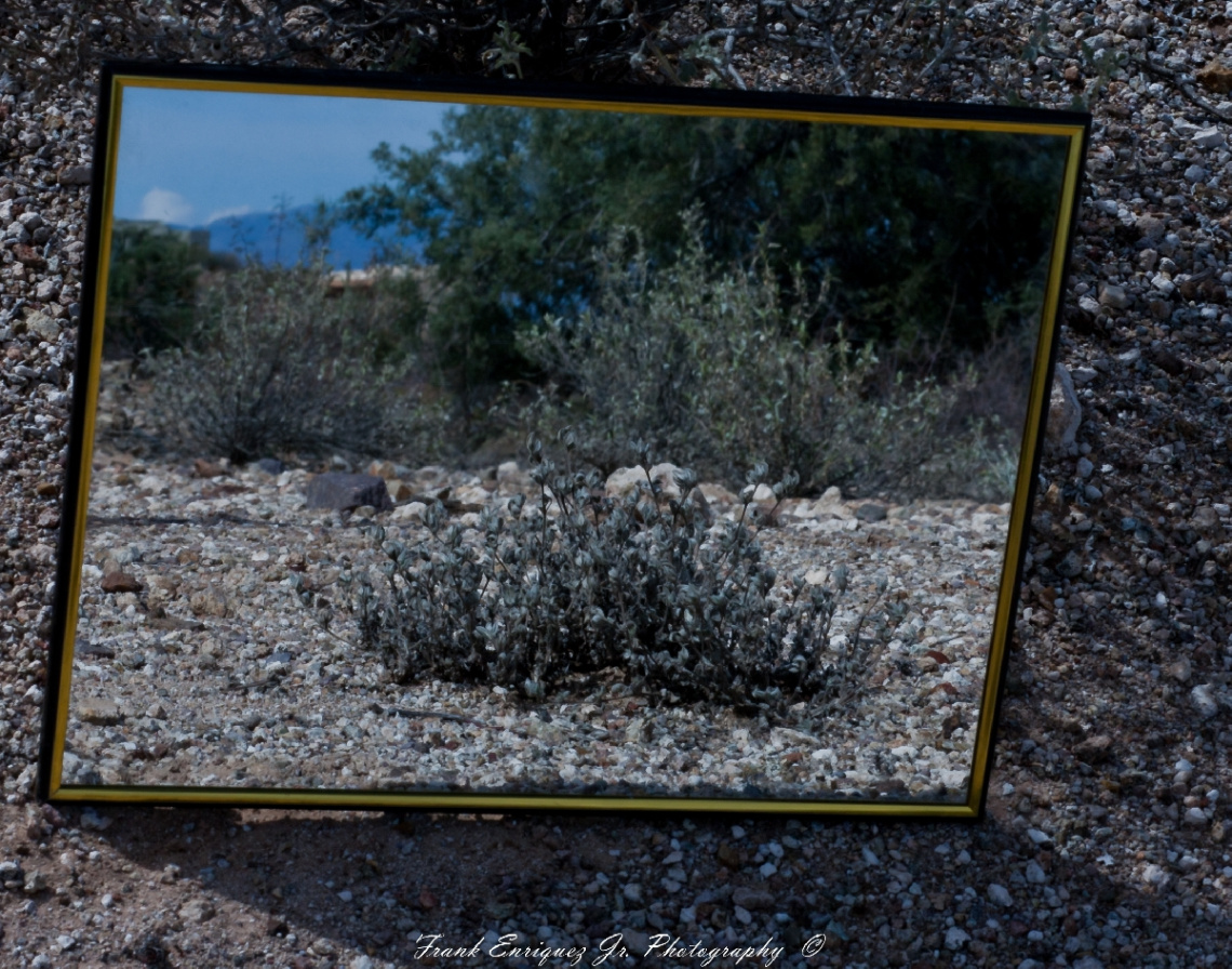 Mirror Mirror.................................