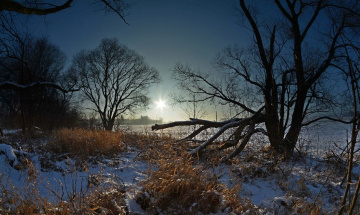 Winter on the fields