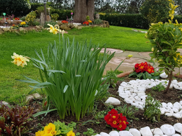 Havada Kar Toprakta Bahar