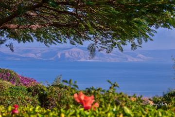 Lake of galilee