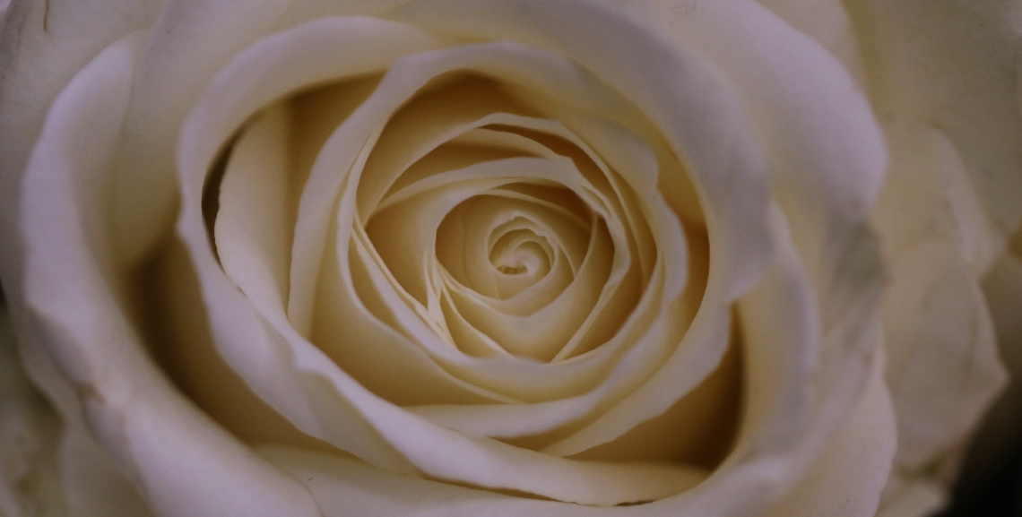 White...