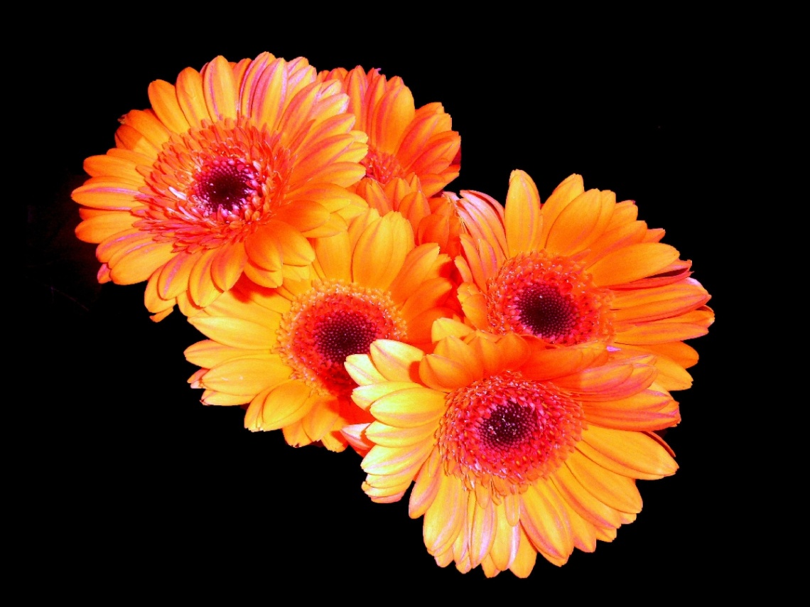 BLÜTEN
