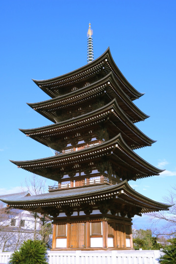 Five roofs tower 