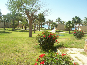 Egypt  - Ismaillia