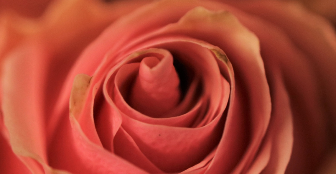 Pink moment ......