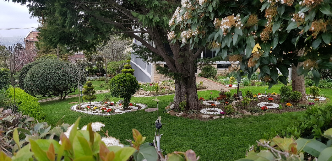 My Garden