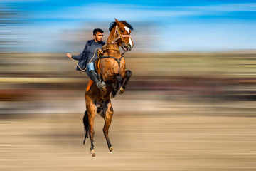 The cowboy