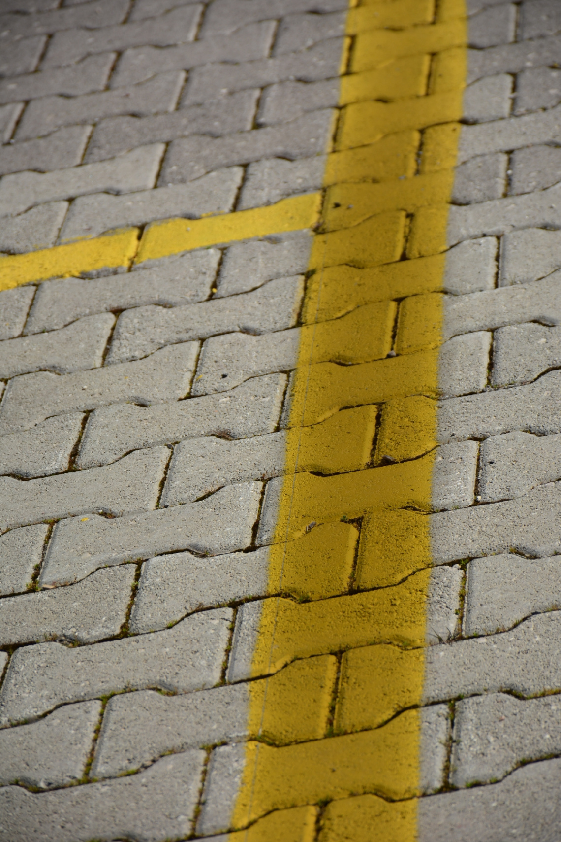 Yellow Line