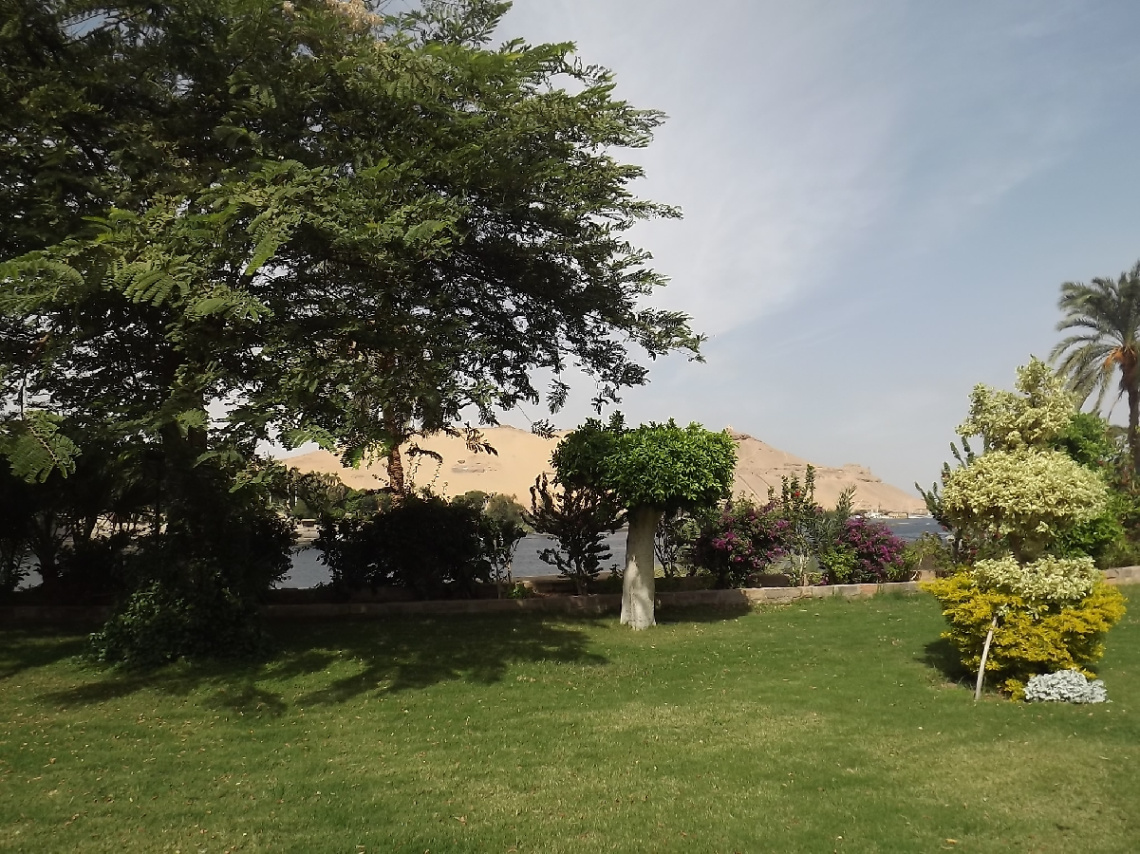 Egypt  - Aswan 