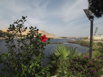 Egypt  - Aswan 