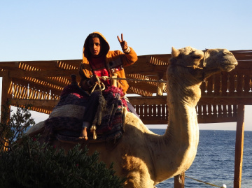 Dahab'da Bir Gün