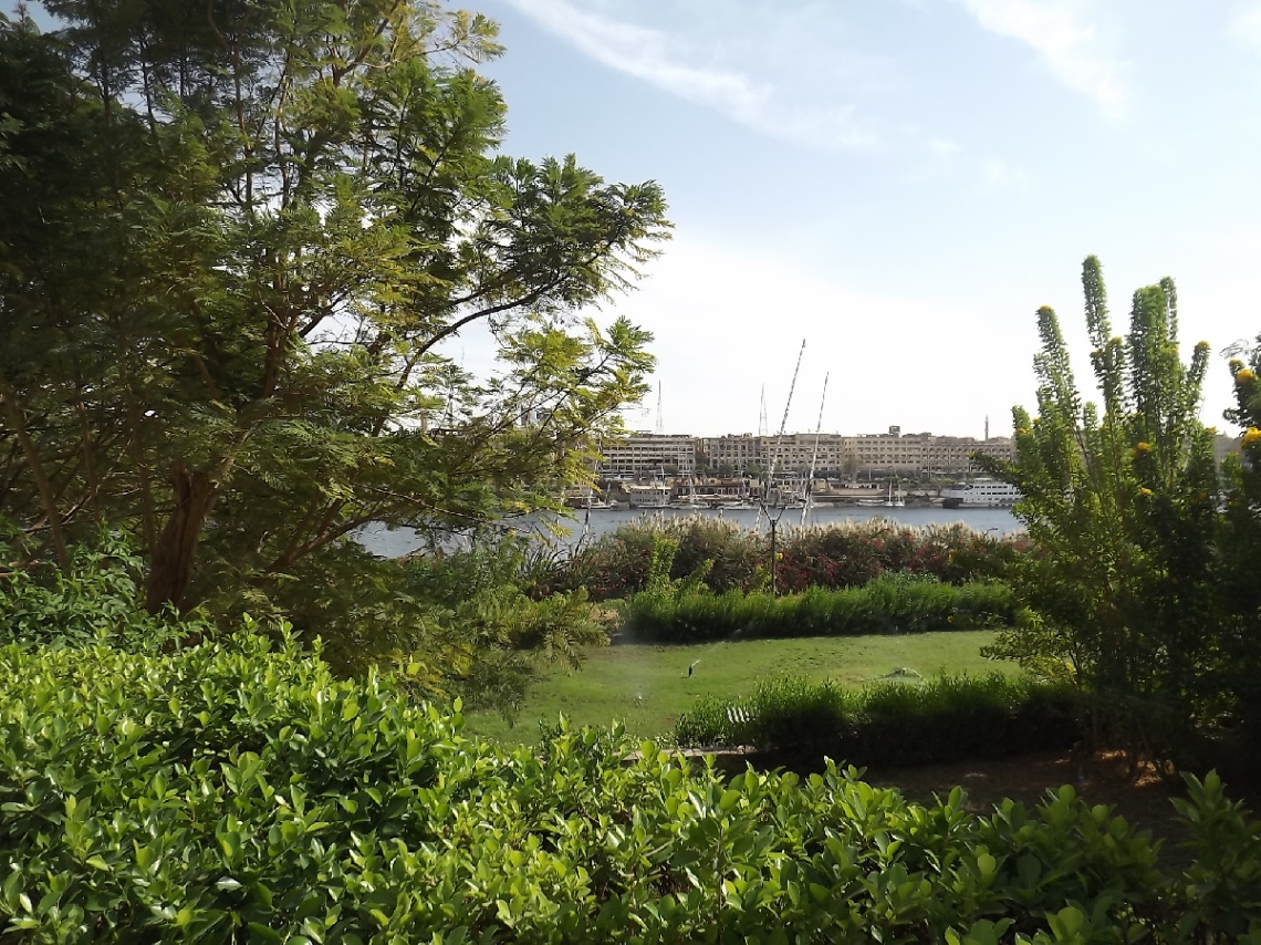 Egypt  - Aswan 