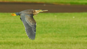 In the air...