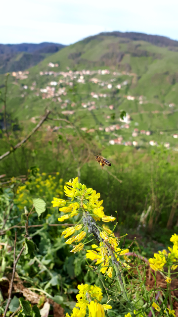 Durmak yok yola devam
