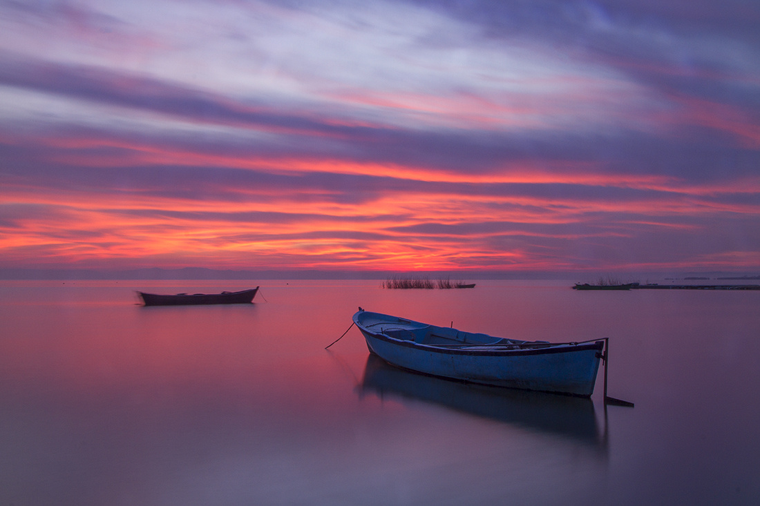 Kuş Cenneti-Bandırma
