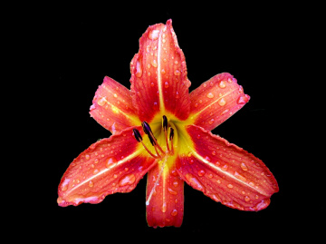 REGENTROPFEN