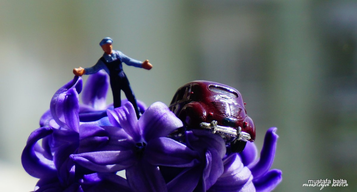 Miniciks Hayatlar  RENO CV 