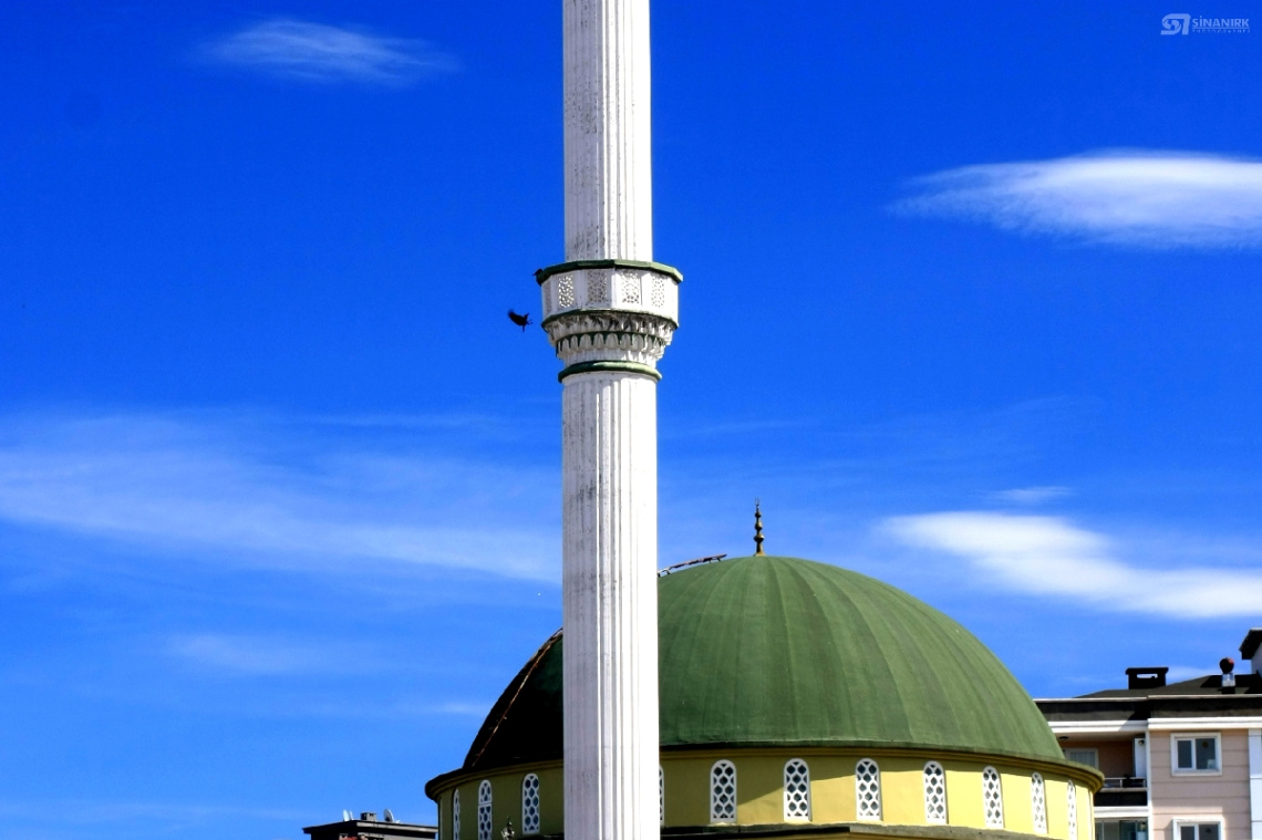 Anadolu