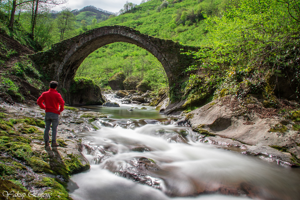TARİH