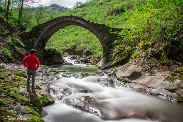 TARİH