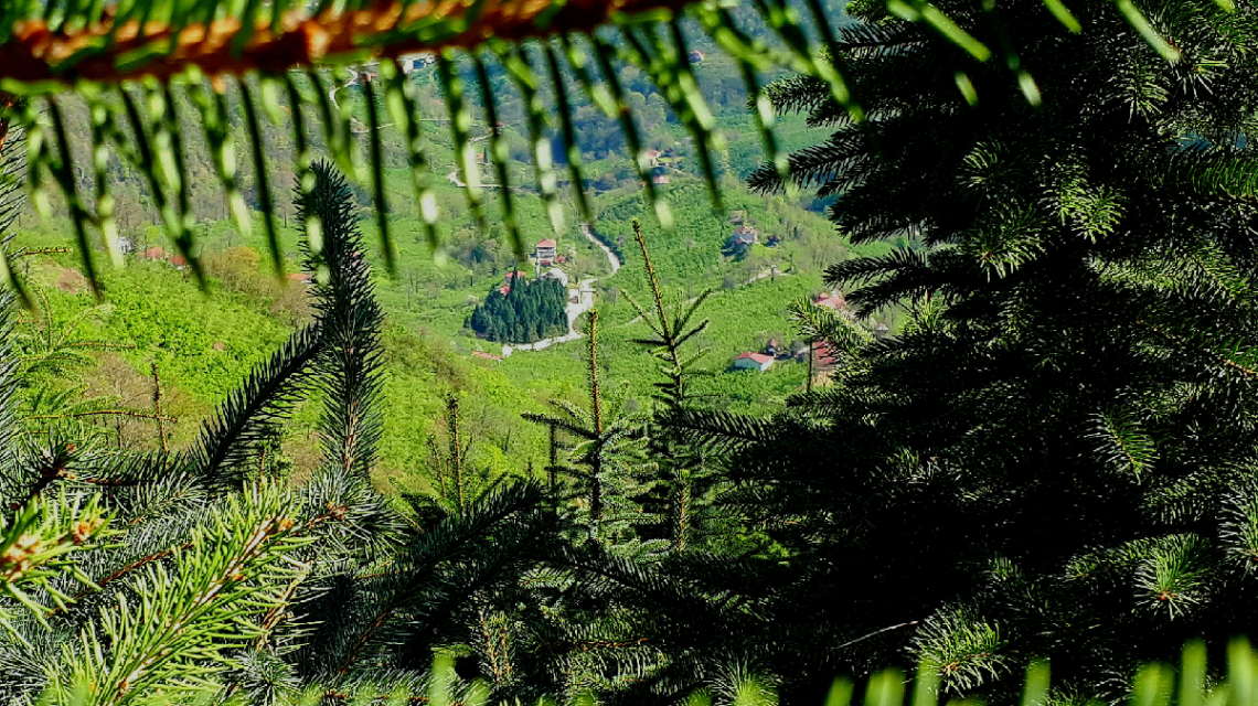Kuş bakışı Manzara